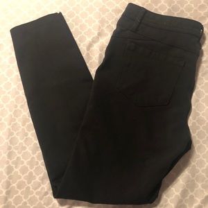 Sapphire Rose Skinny Jeans